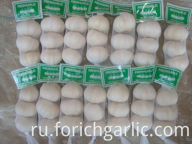 Pure White Garlic